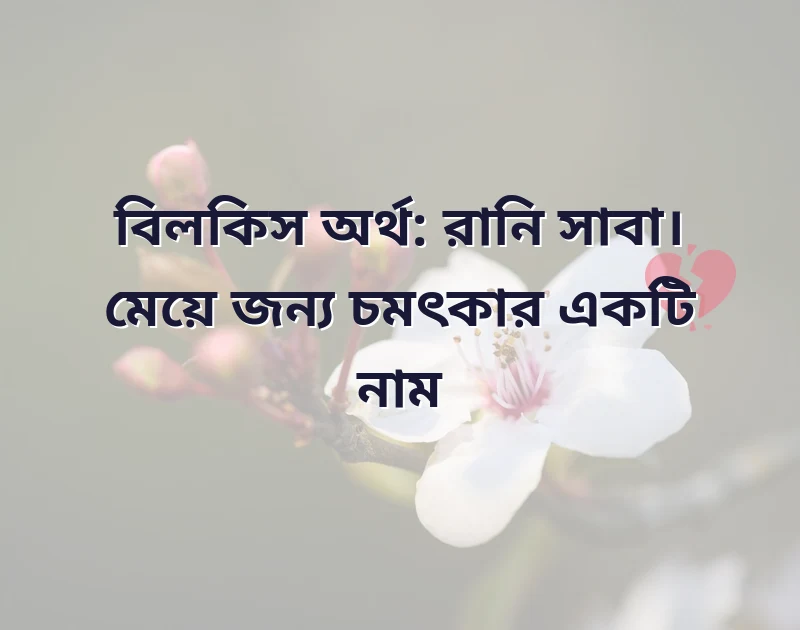 জ দিয়ে মেয়েদের ইসলামিক বড় নাম এসএমএস