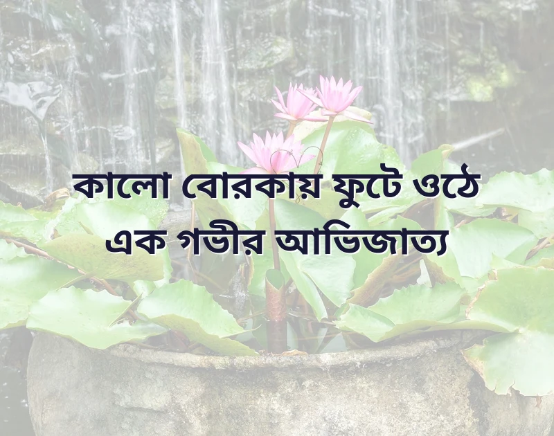 কালো বোরকা পরা প্রোফাইল পিক