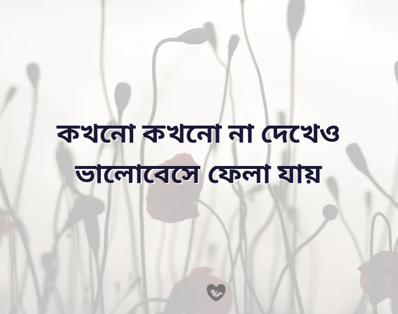 কাউকে না দেখে ভালোবাসা