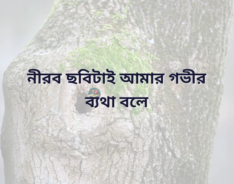 কিছু কষ্টের পিক