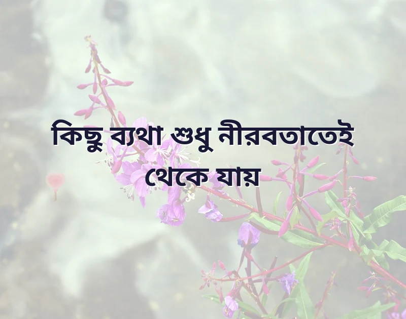 কিছু কষ্টের স্ট্যাটাস