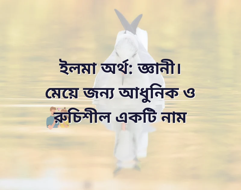 পছন্দের একটি ছবি