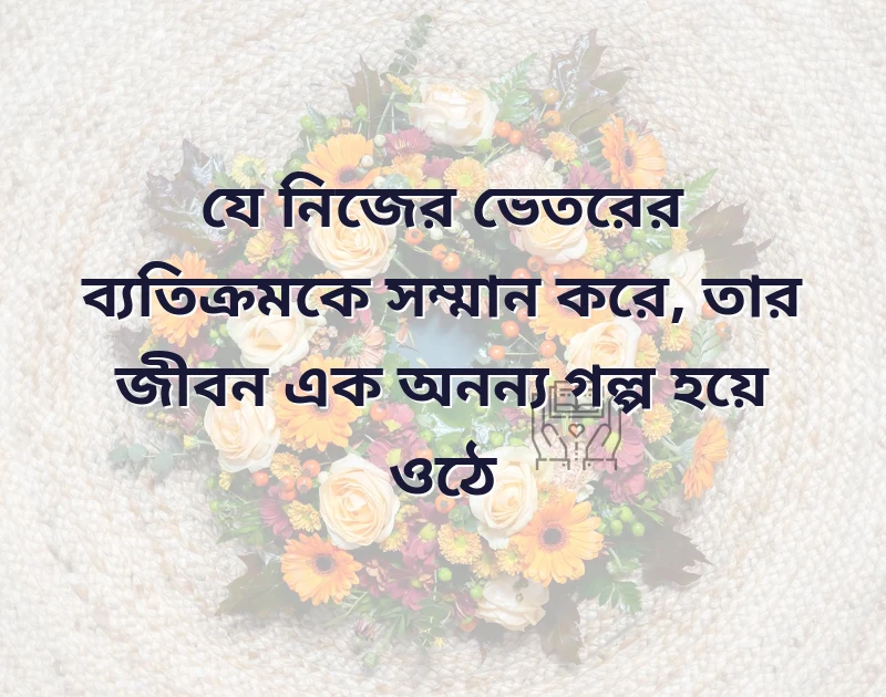 মন ছুঁয়ে যাওয়া ছবি