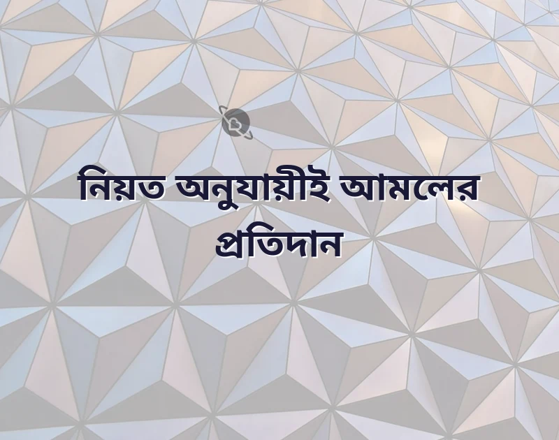 পছন্দের একটি ছবি