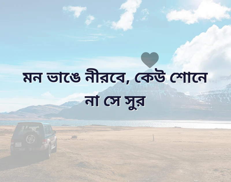 শেয়ার করার মতো ছবি