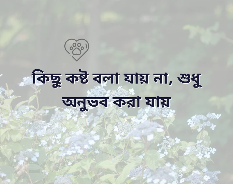 কষ্টর কথা
