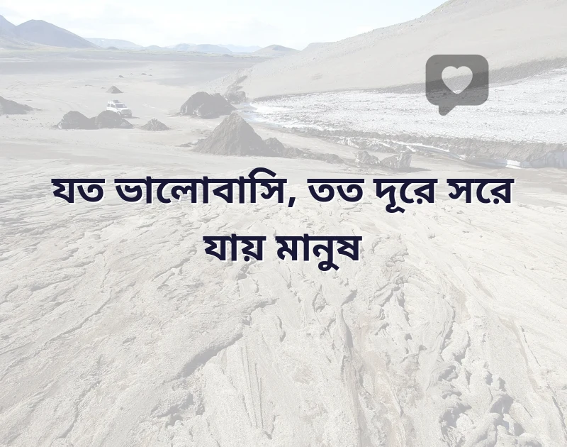 দারুণ একটি ছবি