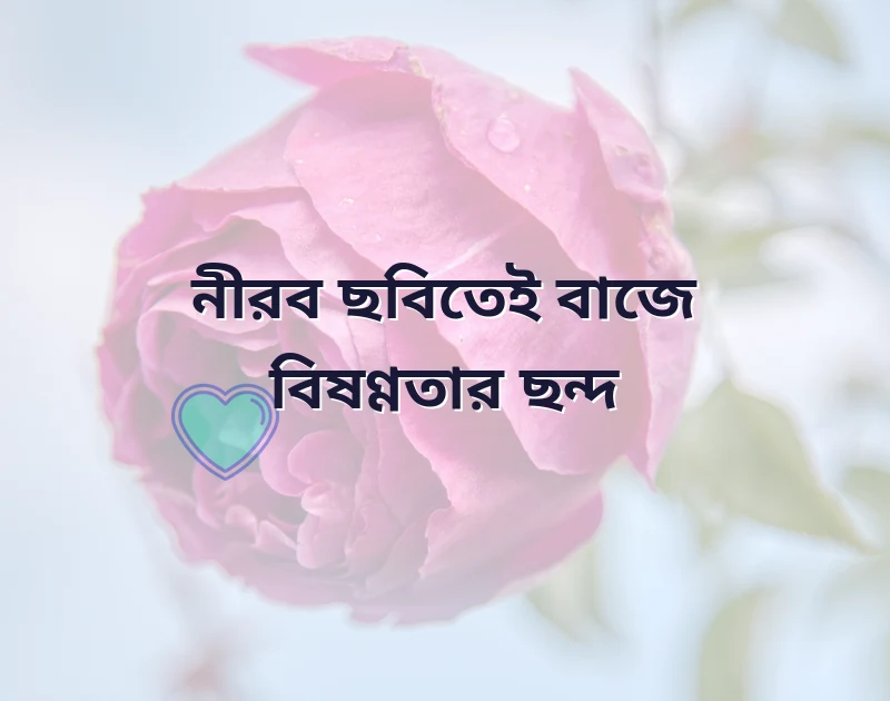 কষ্টের ছন্দ পিক