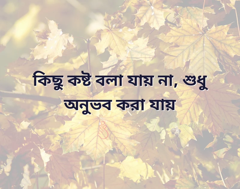 কষ্টের কথা