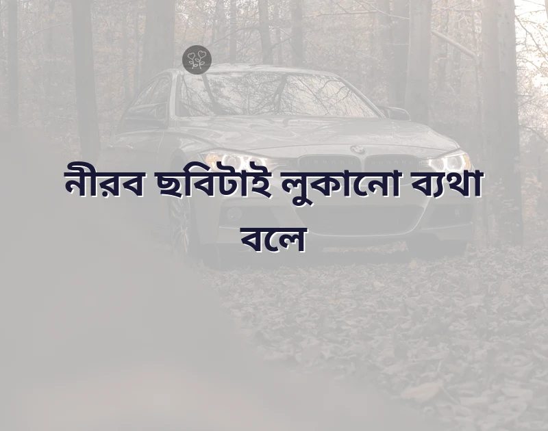 আকর্ষণীয় একটি ছবি