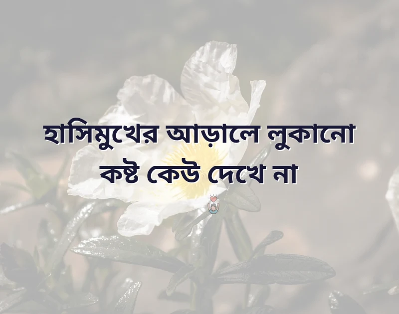 মন ছুঁয়ে যাওয়া ছবি