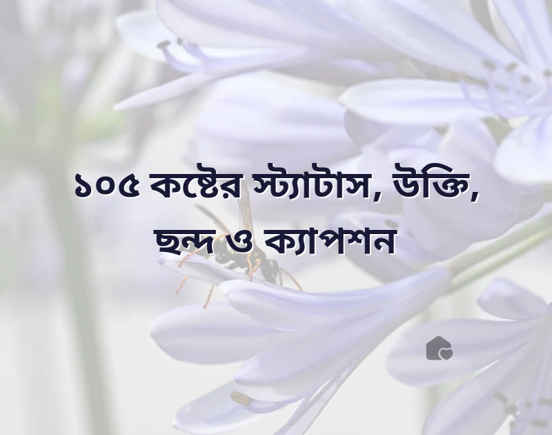 কষ্টের স্ট্যাটাস