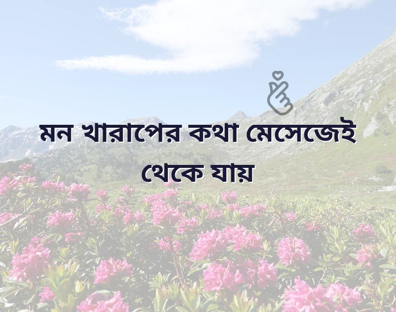 কষ্ট মেসেজ