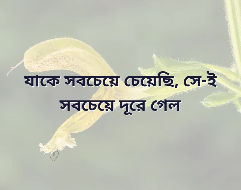 কষ্ট নিয়ে স্ট্যাটাস