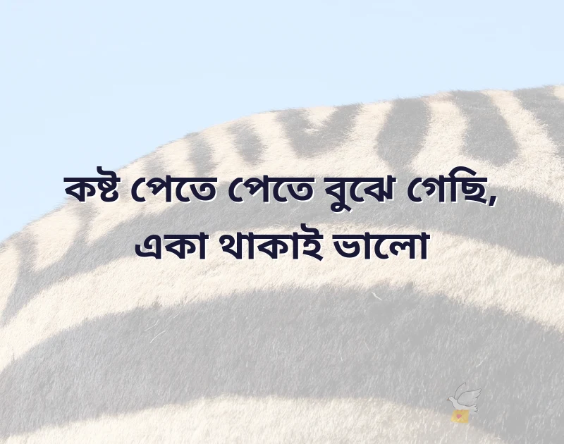 পছন্দের একটি ছবি