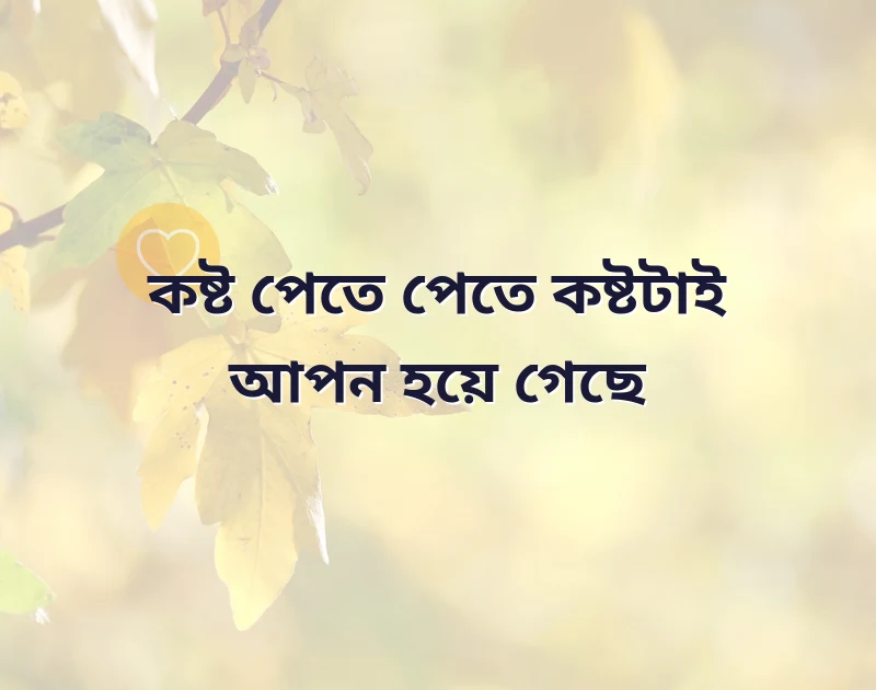আকর্ষণীয় একটি ছবি