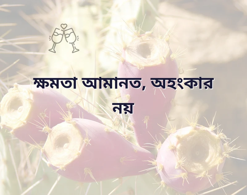ক্ষমতা নিয়ে ইসলামিক উক্তি