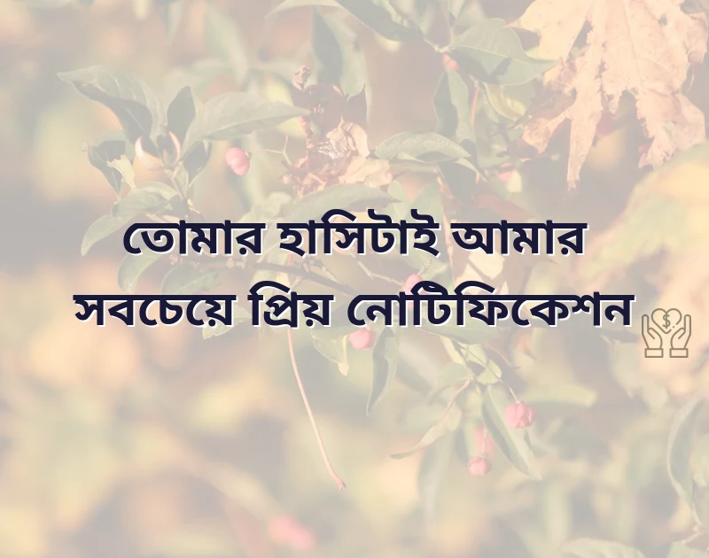 সুন্দর একটি ছবি