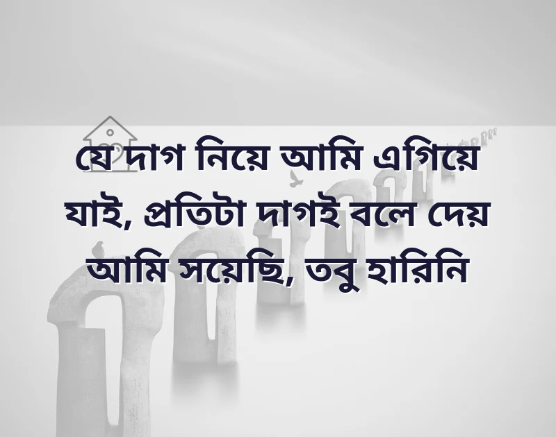 মন ছুঁয়ে যাওয়া ছবি