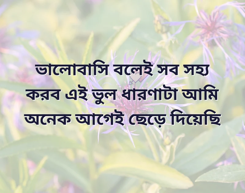 love status bangla 2023