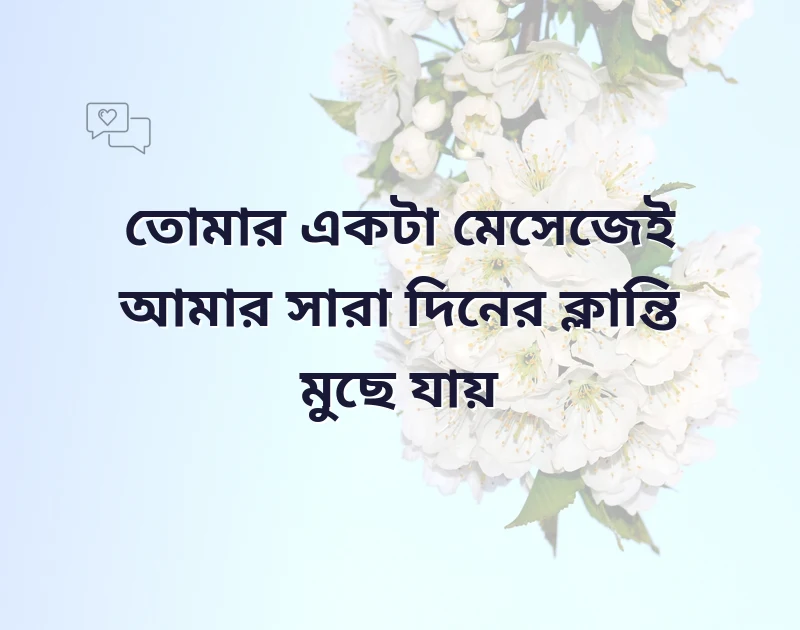 দারুণ একটি ছবি