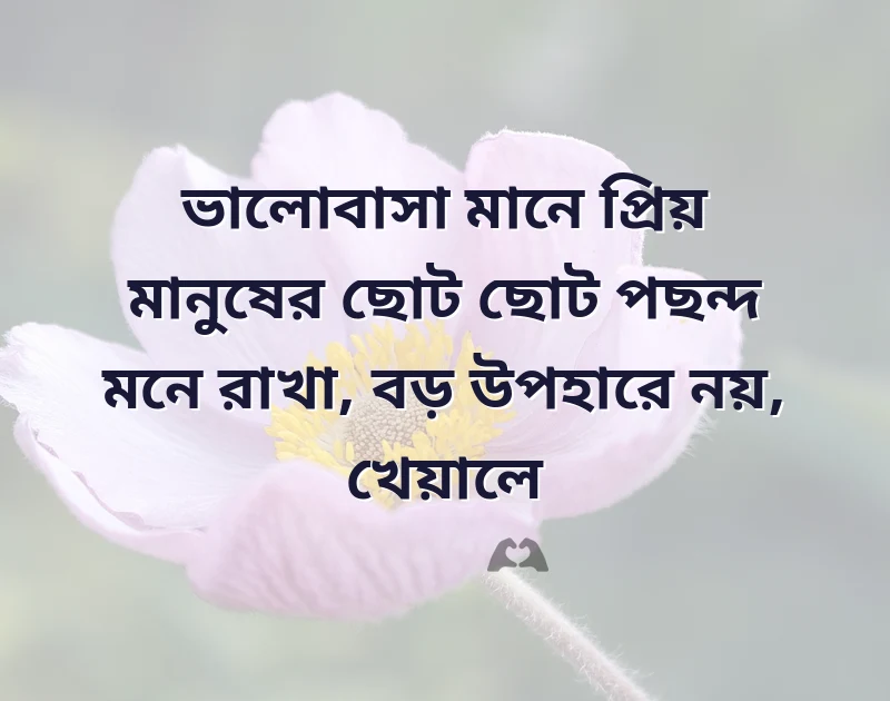 দারুণ একটি ছবি