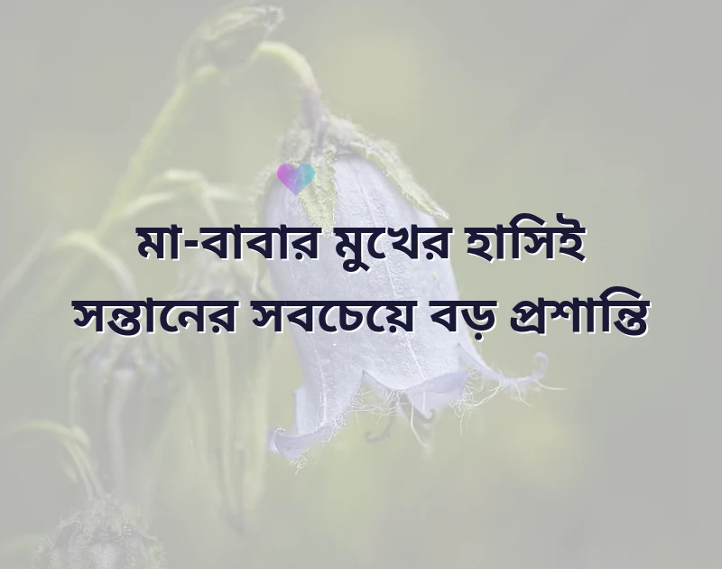 মা বাবাকে নিয়ে কষ্টের স্ট্যাটাস