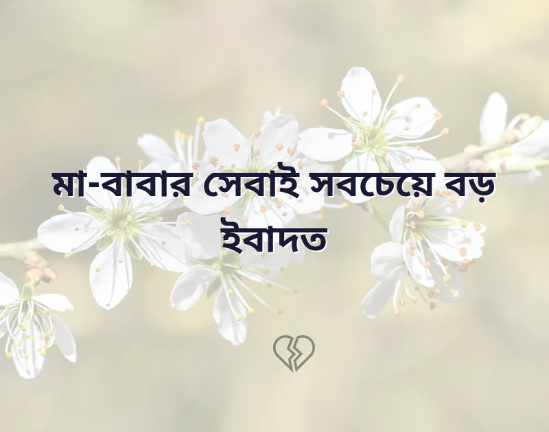 মন ছুঁয়ে যাওয়া ছবি