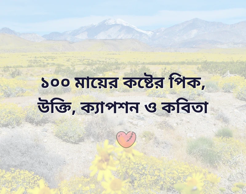 মায়ের কষ্টের পিক
