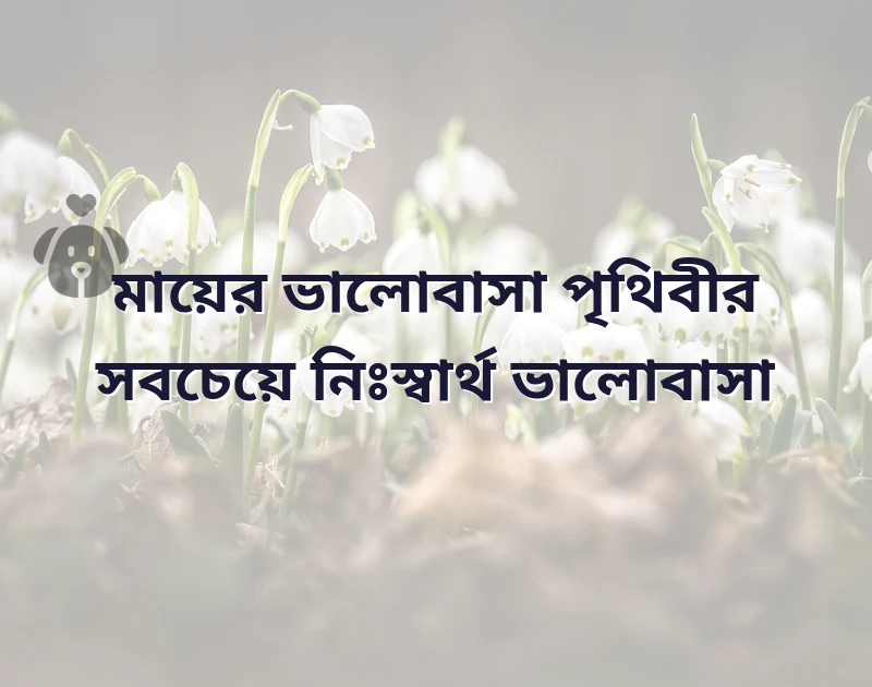 মায়ের ভালোবাসা স্ট্যাটাস