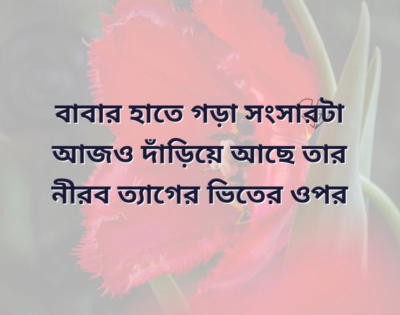 সুন্দর একটি ছবি