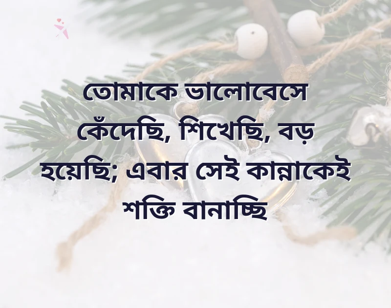 শেয়ার করার মতো ছবি