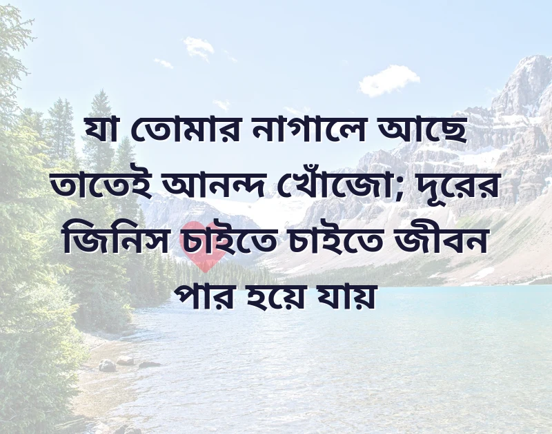 পছন্দের একটি ছবি