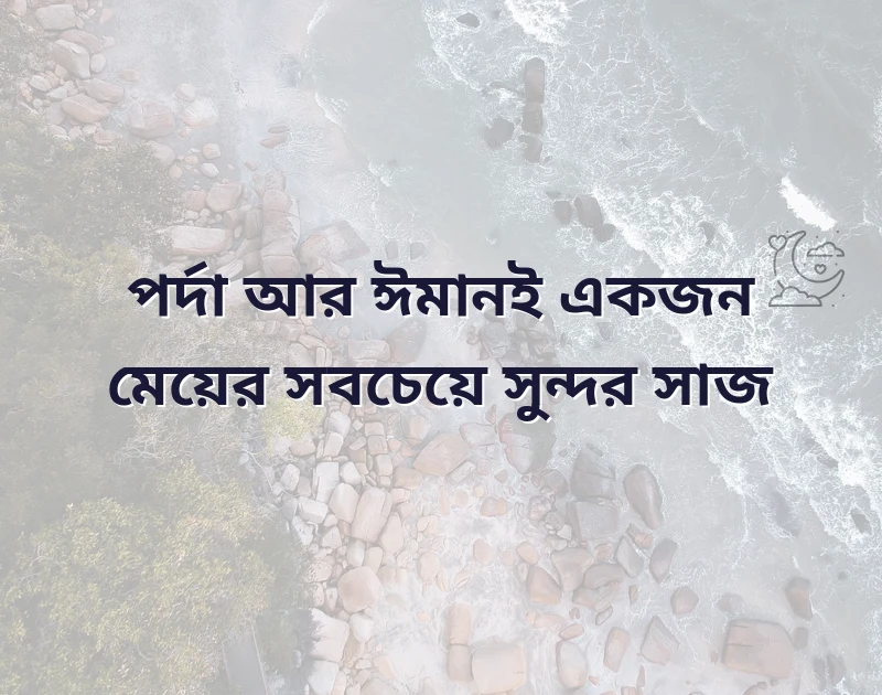 দারুণ একটি ছবি