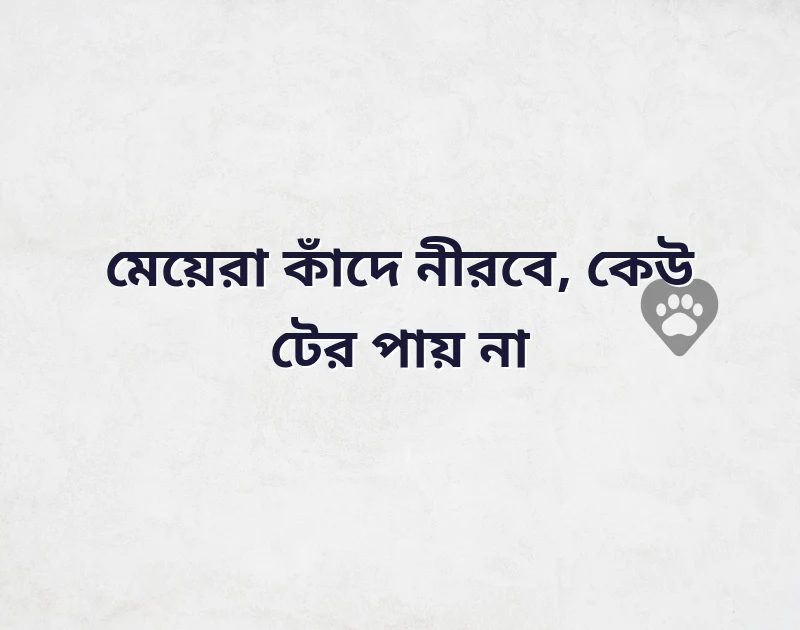 পছন্দের একটি ছবি