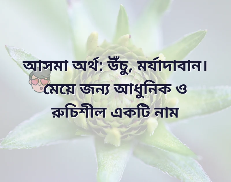 মেয়েদের স্টাইলিশ নাম ইংরেজি