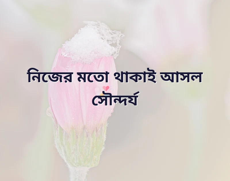 মেয়েদের সুন্দর প্রোফাইল পিক