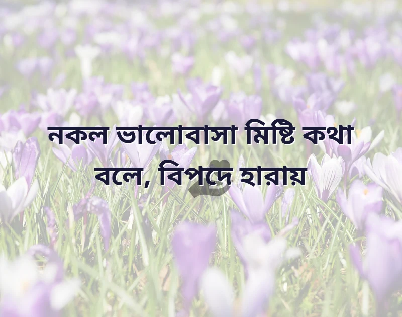 মন ছুঁয়ে যাওয়া ছবি