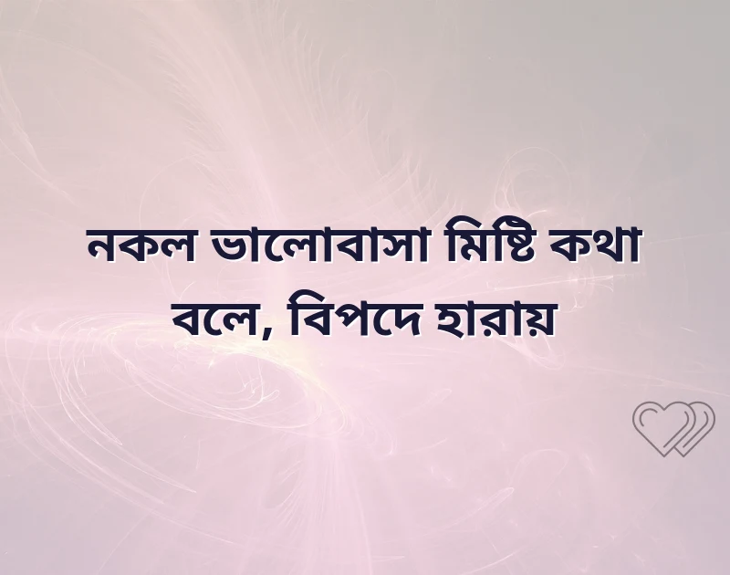 মিথ্যা ভালোবাসা স্ট্যাটাস