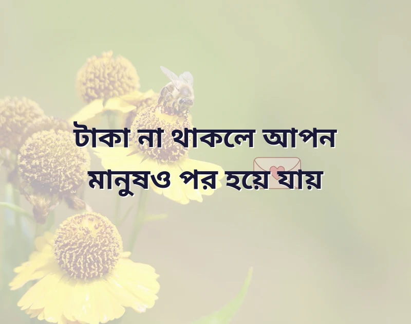 পছন্দের একটি ছবি
