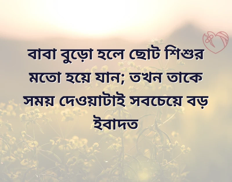 my attitude quotes