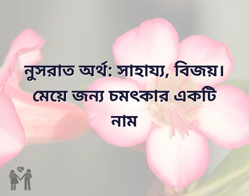 n দিয়ে মেয়েদের ইসলামিক নাম