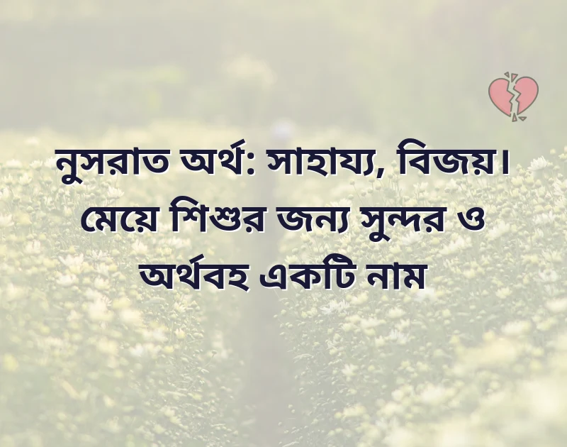 দারুণ একটি ছবি