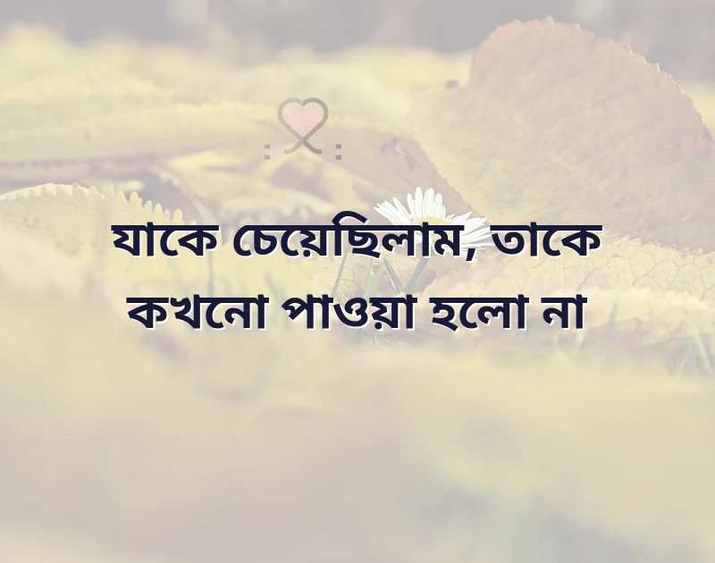 পছন্দের একটি ছবি