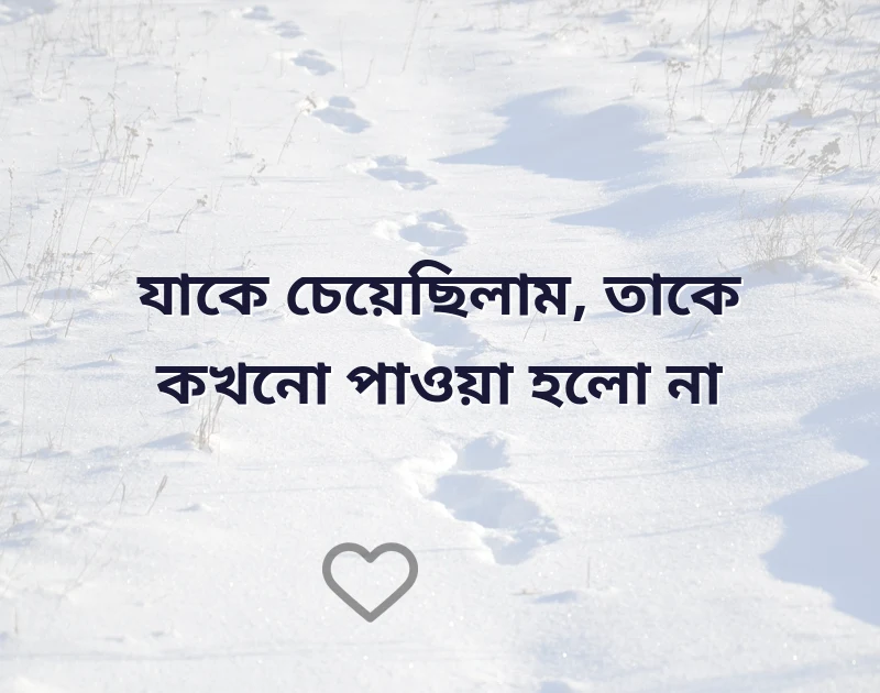 সুন্দর একটি ছবি