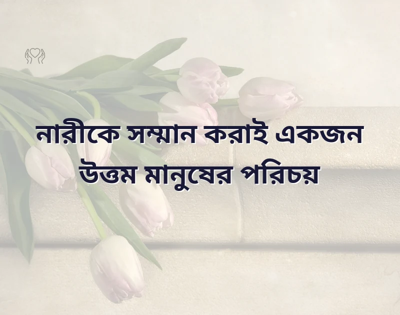 দারুণ একটি ছবি