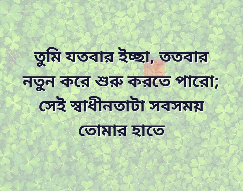আকর্ষণীয় একটি ছবি