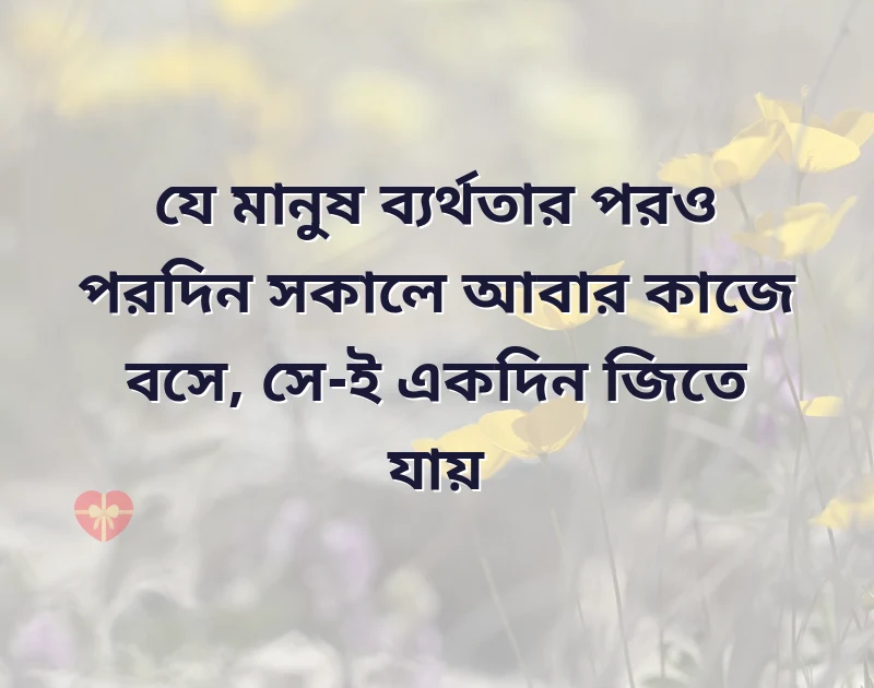 দারুণ একটি ছবি