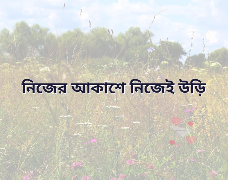 শেয়ার করার মতো ছবি