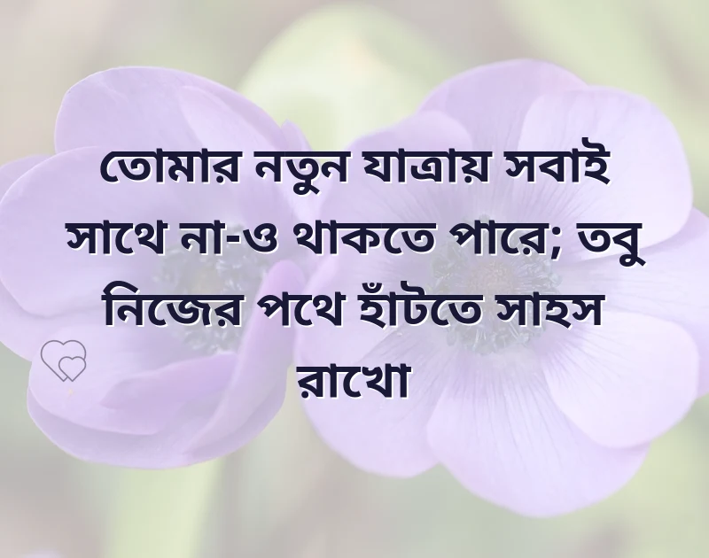 পছন্দের একটি ছবি